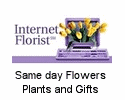 Internet Florist